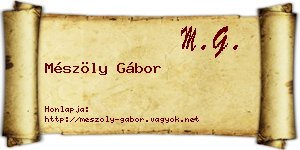Mészöly Gábor névjegykártya